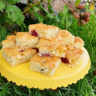 Björnbärsrutor med vit&nbsp;choklad